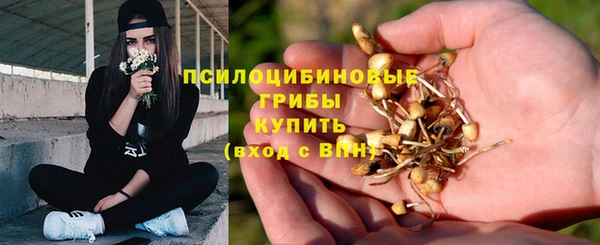 экстази Алзамай